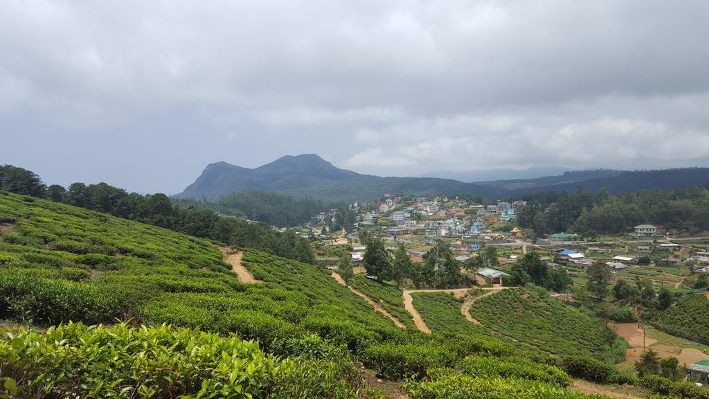 Eranga Guest Hotel Nuwara Eliya Bagian luar foto